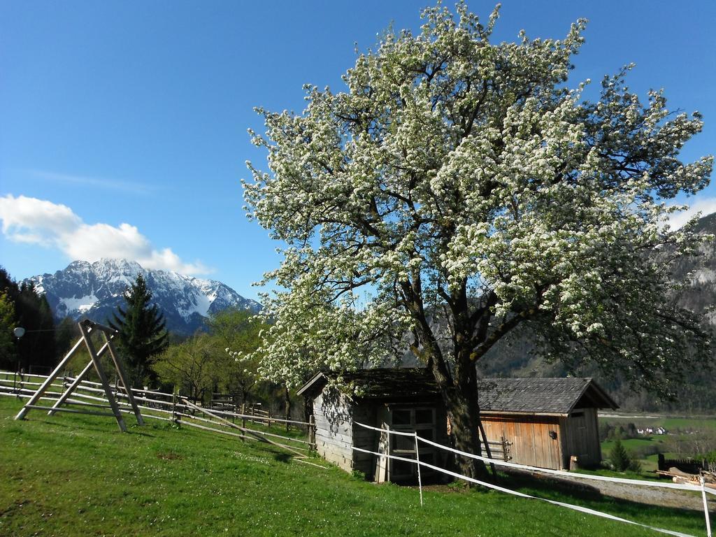 Berghof Thurnergut Spital Am Pyhrn Εξωτερικό φωτογραφία
