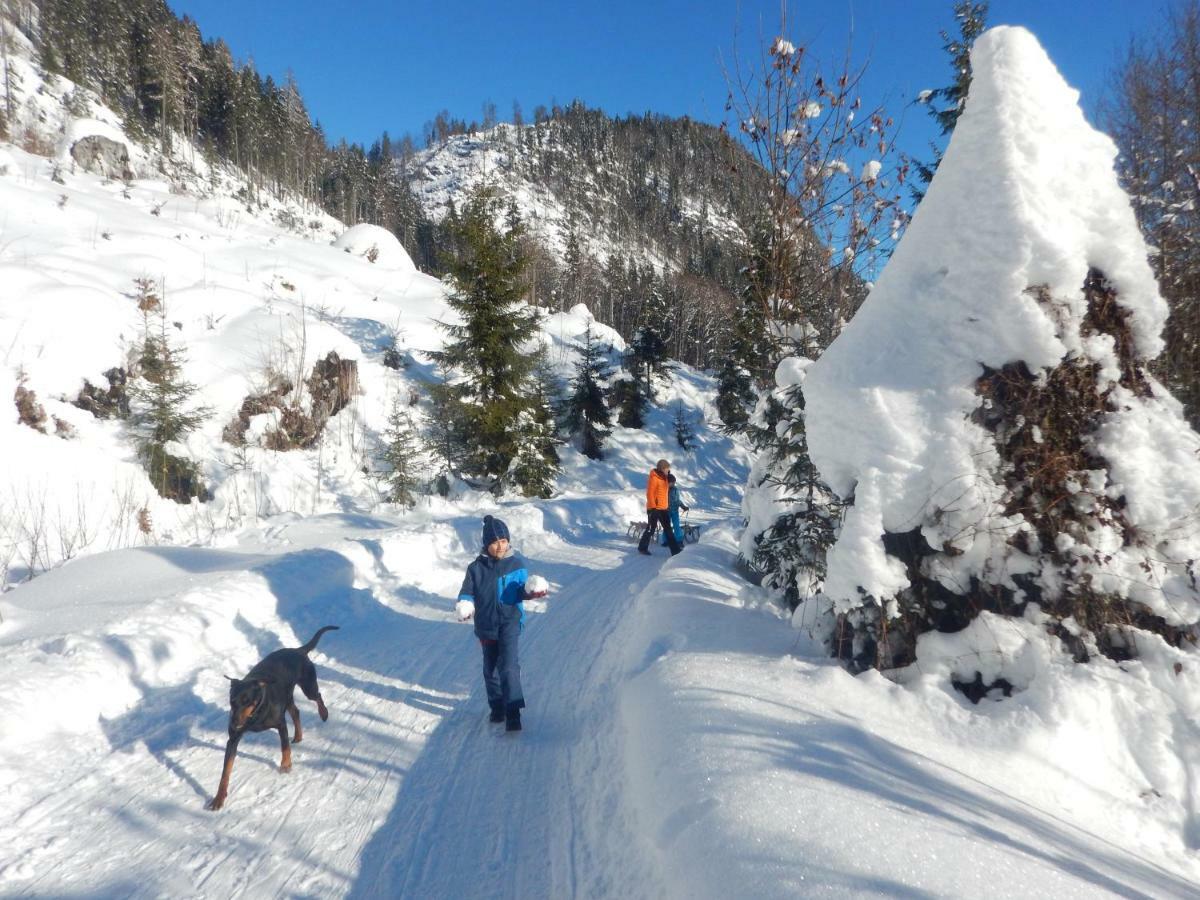 Berghof Thurnergut Spital Am Pyhrn Εξωτερικό φωτογραφία
